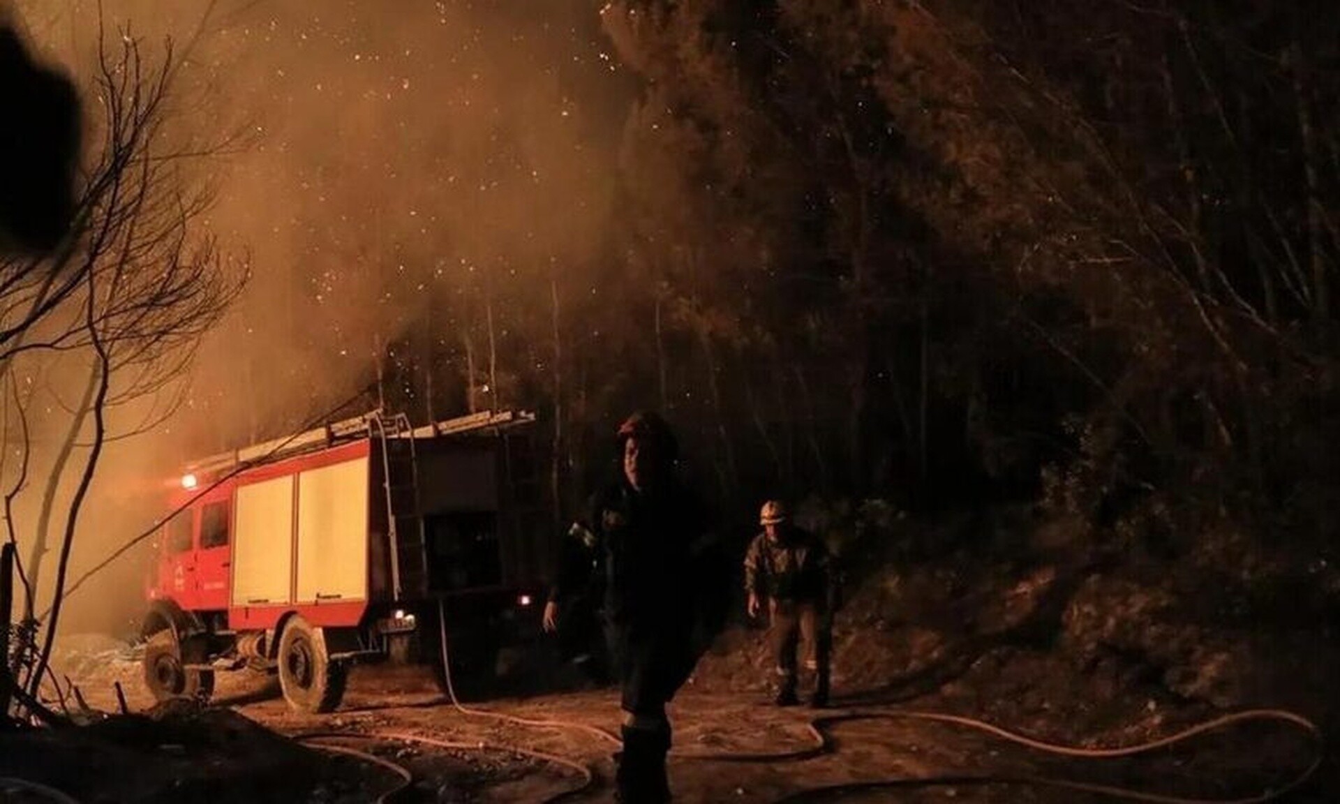 Βόλος: Φωτιά ξέσπασε σε αγροτική έκταση στο Φυτόκο