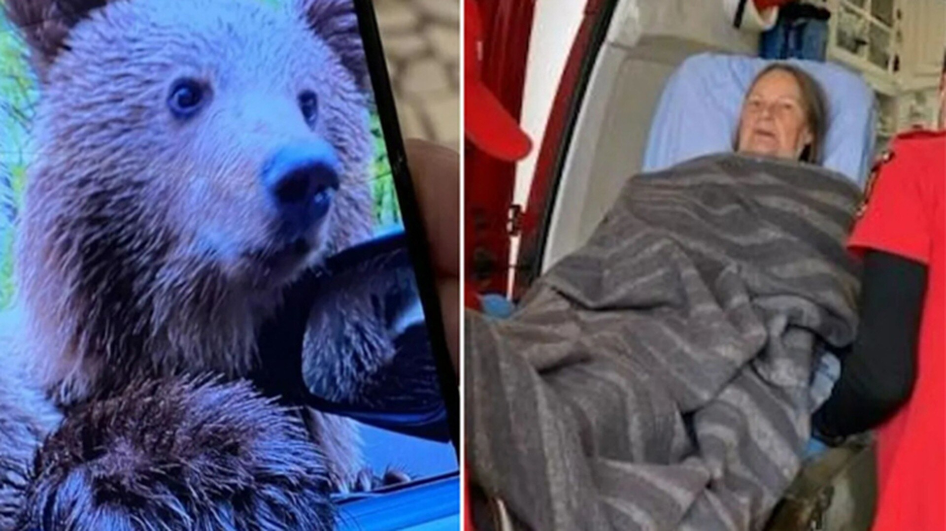 Τουρίστρια πήγε να βγάλει selfie με… αρκούδα και αυτή όρμησε να την κατασπαράξει
