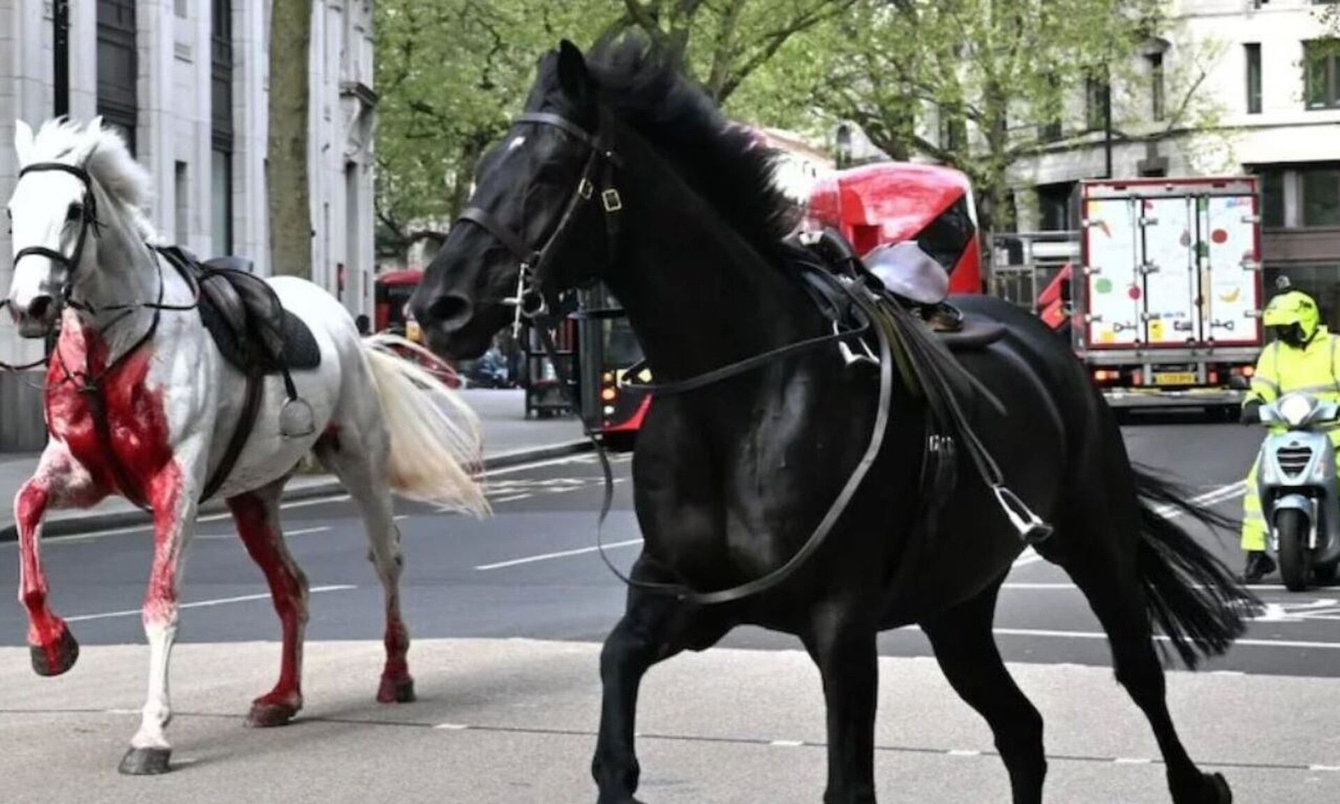 Χάος στο Λονδίνο: Άλογα το «έσκασαν» απο άσκηση και προκάλεσαν κομφούζιο – Τέσσερις τραυματίες