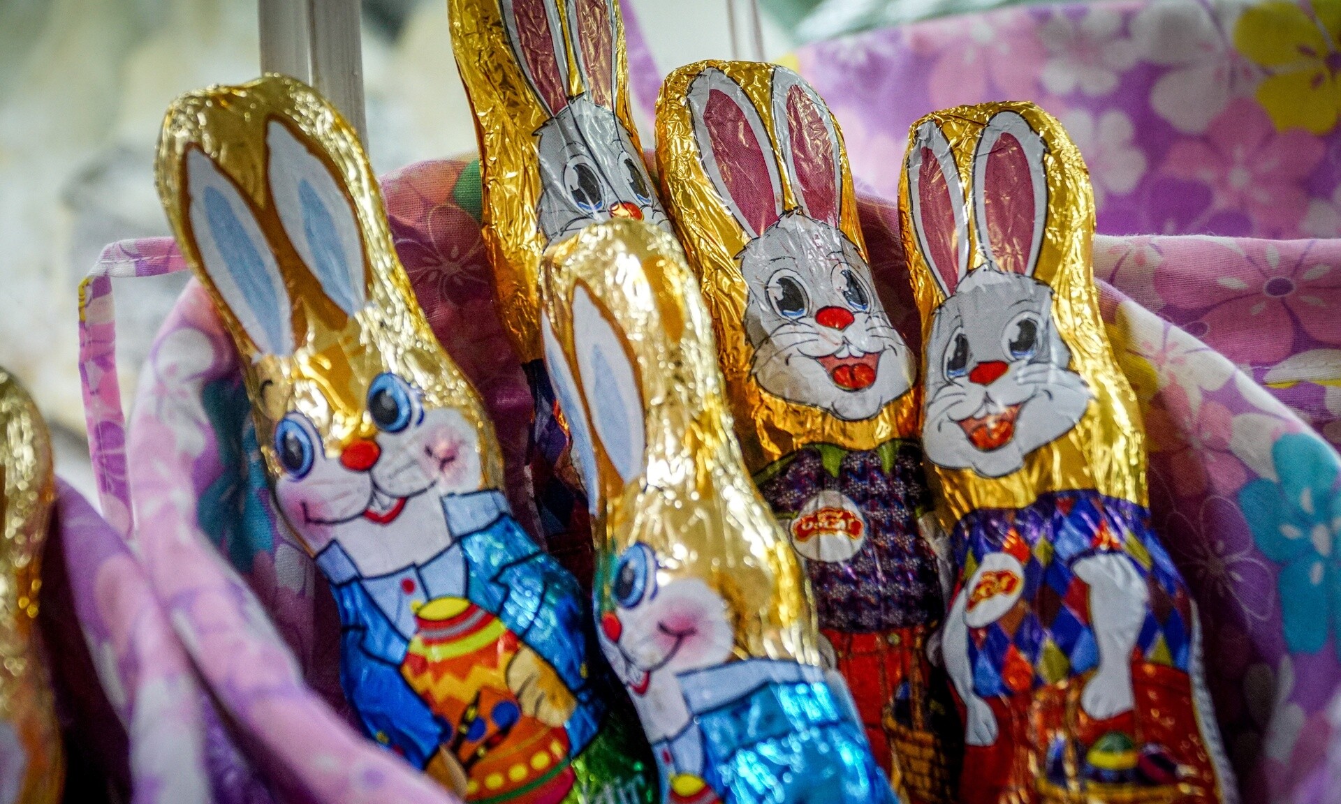 Καλάθι του Πάσχα: Ίδιες ή και χαμηλότερες τιμές φέτος – Πού κυμαίνονται το αρνί και το κατσίκι