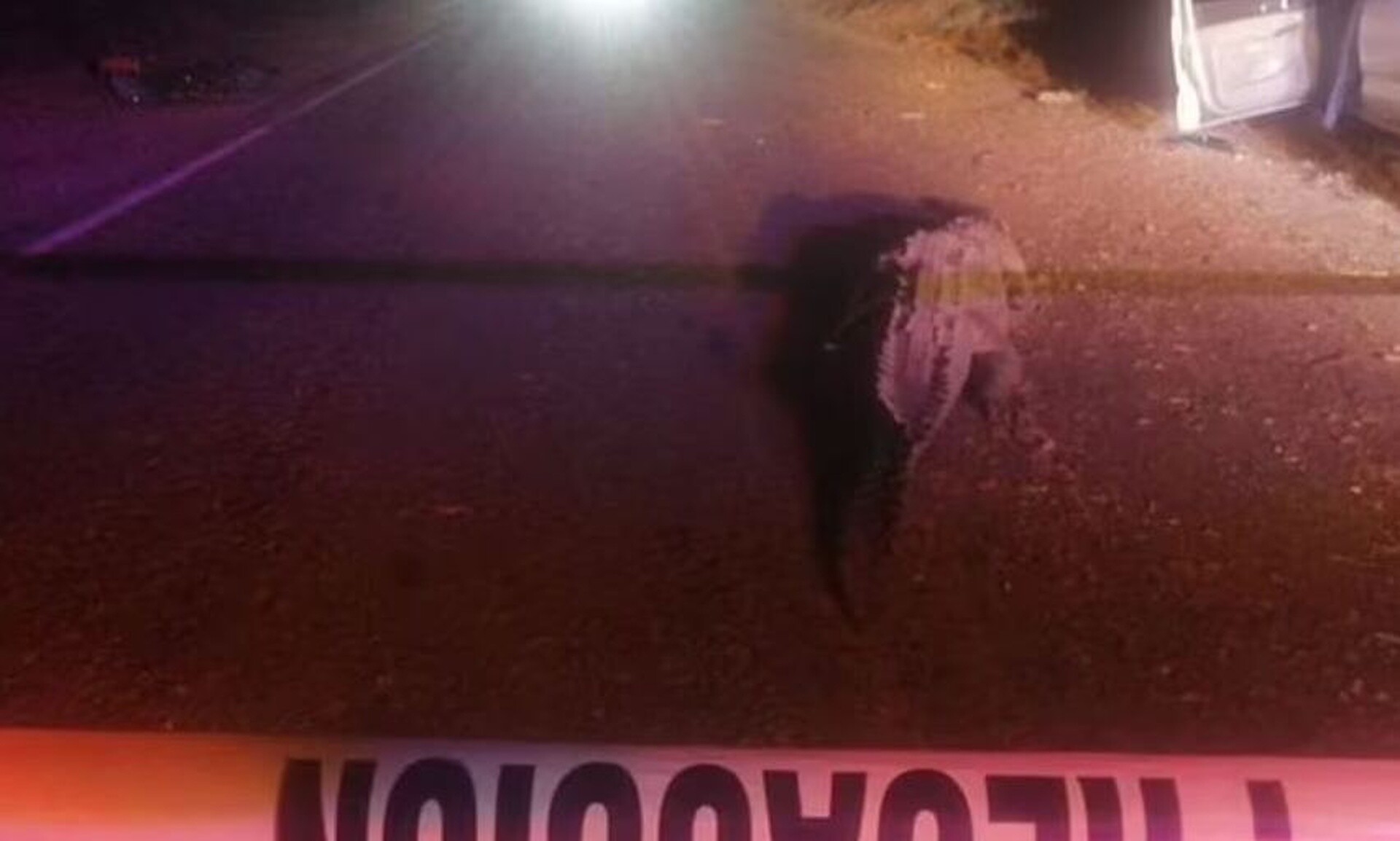 Μεξικό: Όχημα έπεσε πάνω σε αλιγάτορα δύο μέτρων – Τρία άτομα έχασαν τη ζωή τους