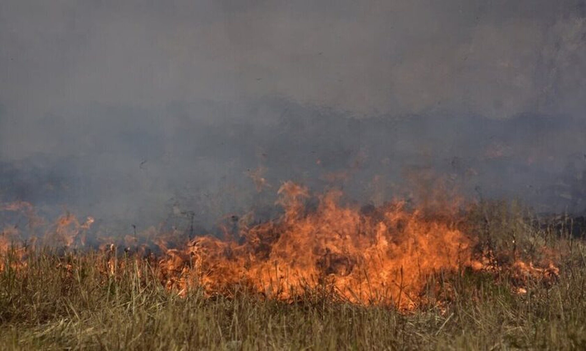 Πυρκαγιά στην Περιφερειακή του Αιγάλεω – Επιχειρεί και ελικόπτερο