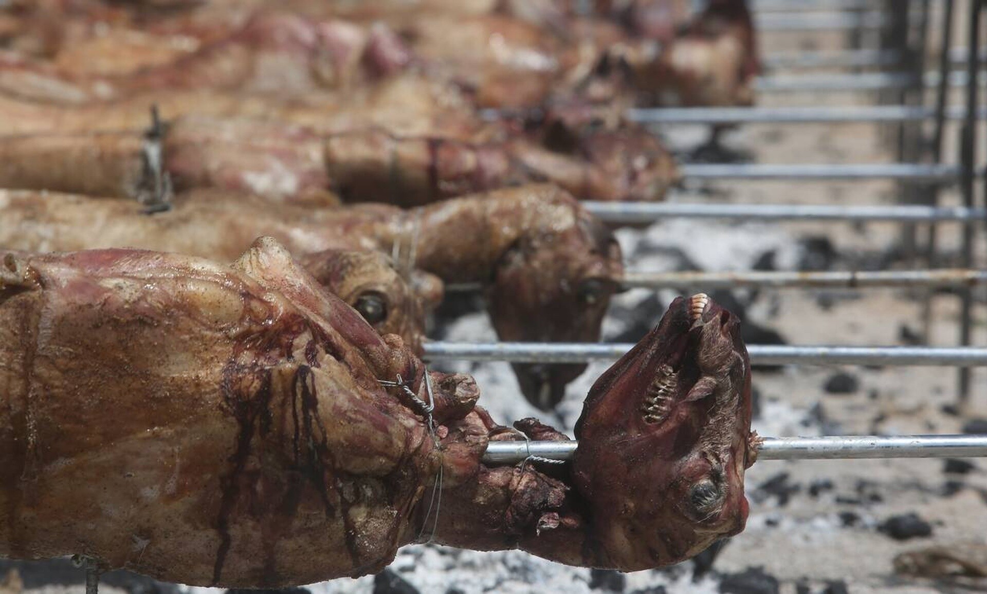 Πανάκριβο το φετινό Πάσχα: Στα ύψη η τιμή του οβελία – «Χρυσάφι» τα έξοδα μετακίνησης