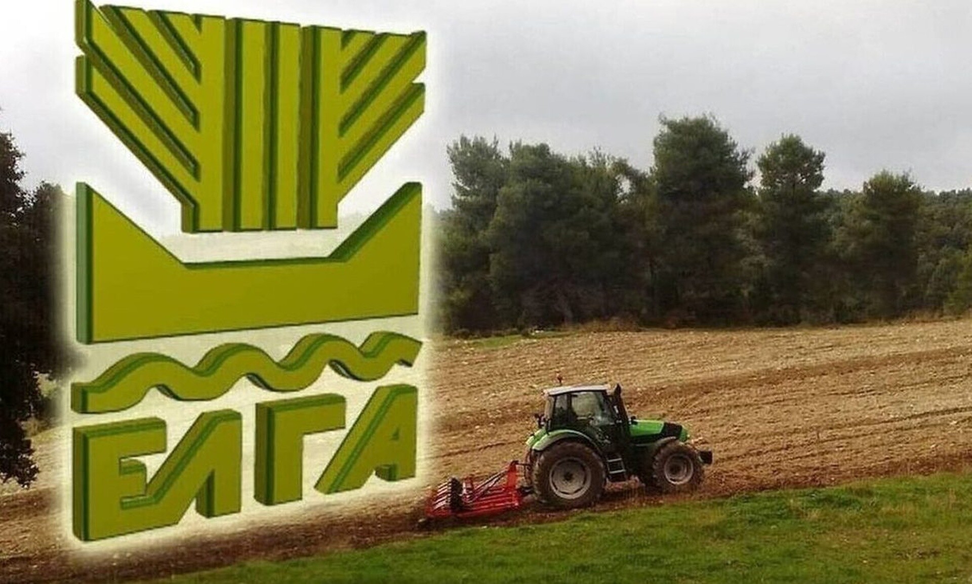 ΕΛΓΑ: Αποζημιώσεις 38 εκατ. ευρώ για ζημιές φυτικής παραγωγής και ζωικού κεφαλαίου το 2023