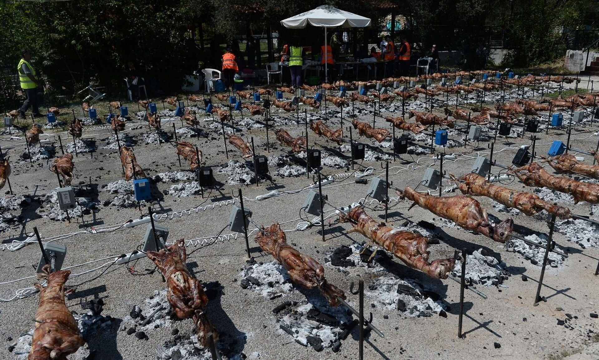 Τι απαντά το Σωματείο Κρεοπωλών Βόλου για τις ελληνοποιήσεις αμνοεριφίων