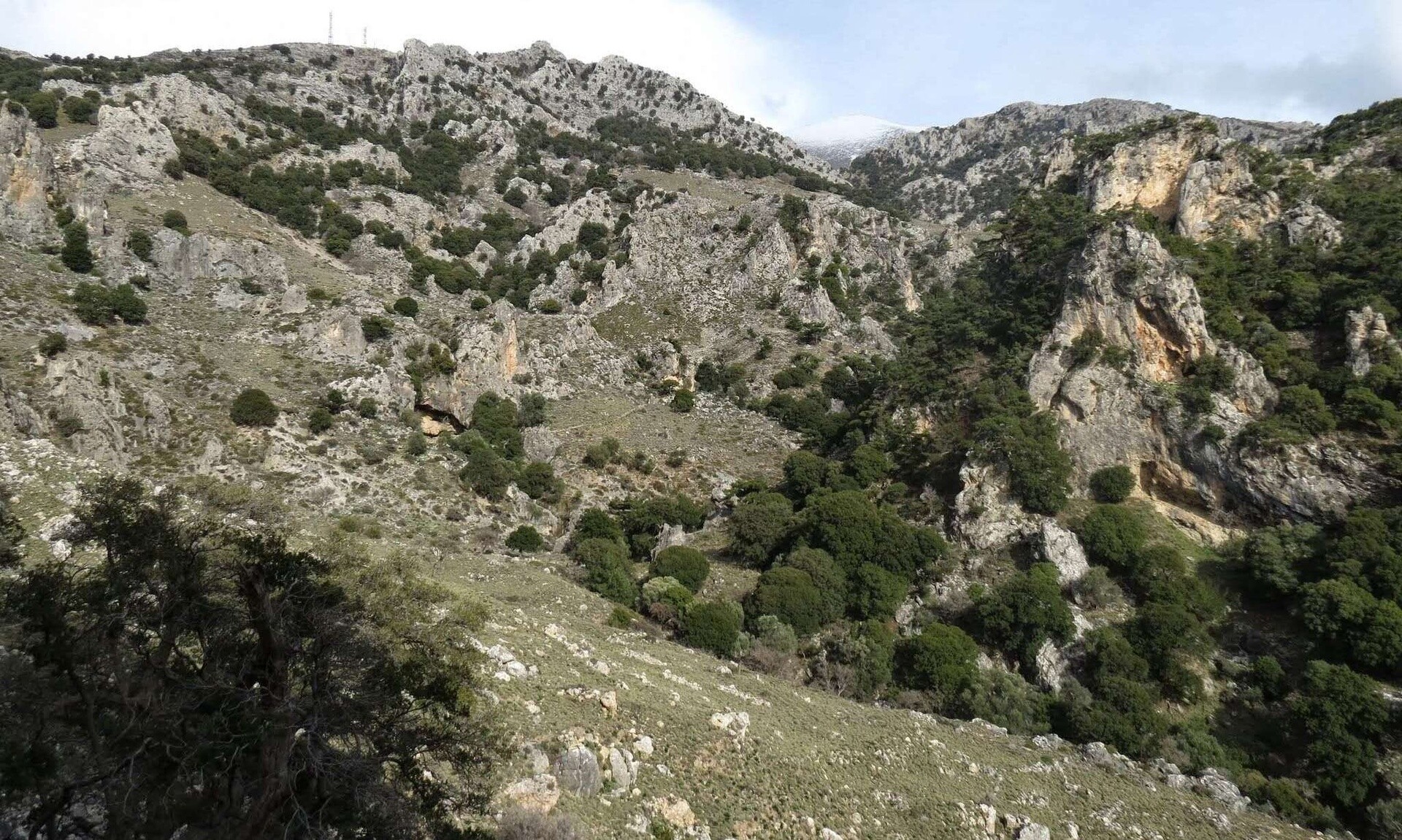 Συναγερμός στο Ρέθυμνο: Επιχείρηση διάσωσης Γερμανίδας τουρίστριας στο Φαράγγι Πλατανίων