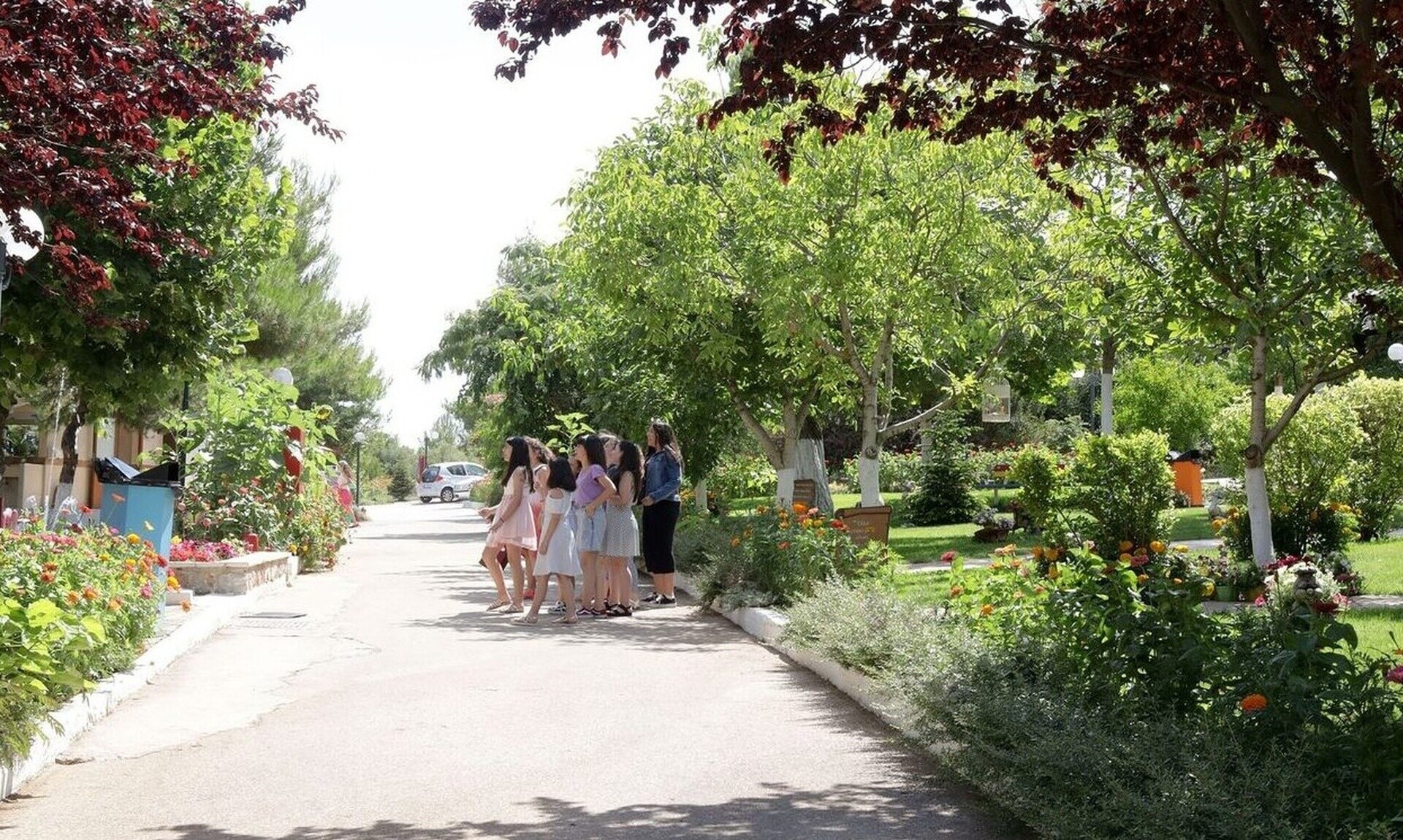 Παιδικές κατασκηνώσεις: Ανοίγει η πλατφόρμα του e-ΕΦΚΑ για τις αιτήσεις