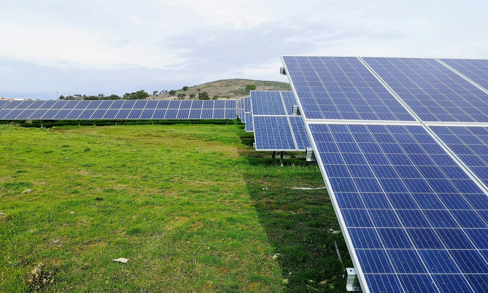 Φωτοβολταϊκά στην Στέγη και το Χωράφι: Ολοκληρώθηκαν οι αιτήσεις – Πώς γίνεται η κατάταξή τους