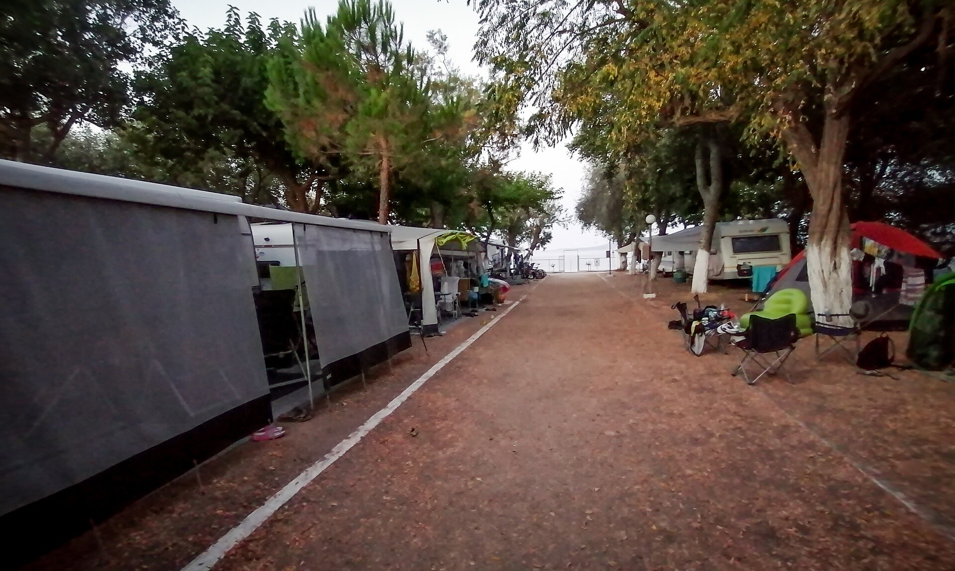 e-ΕΦΚΑ: Θερινή κατασκηνωτική 2024 – Σε δύο ημέρες λήγει η προθεσμία υποβολής αιτήσεων