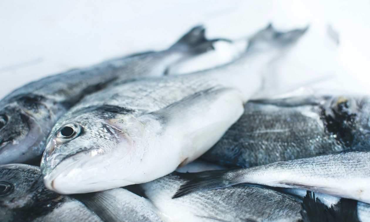 Οι Ιταλοί στρέφονται στα κατεψυγμένα τρόφιμα – Σημαντικές οι ευκαιρίες για τους Έλληνες παραγωγούς