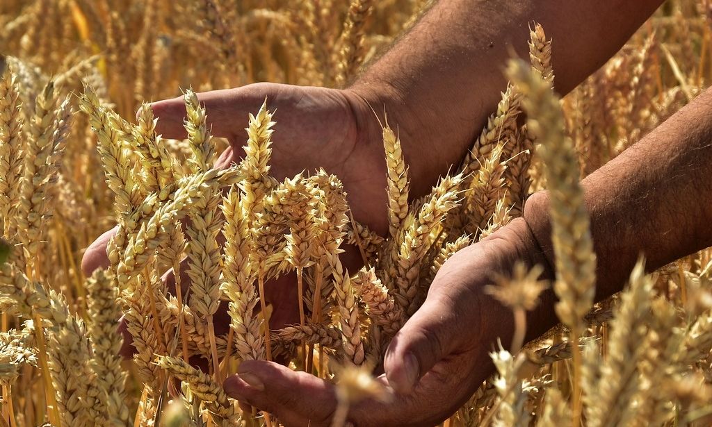 ΟΠΕΚΕΠΕ: Πληρώθηκαν 167 εκατ. ευρώ σε αγρότες για την εκκαθάριση του 2023