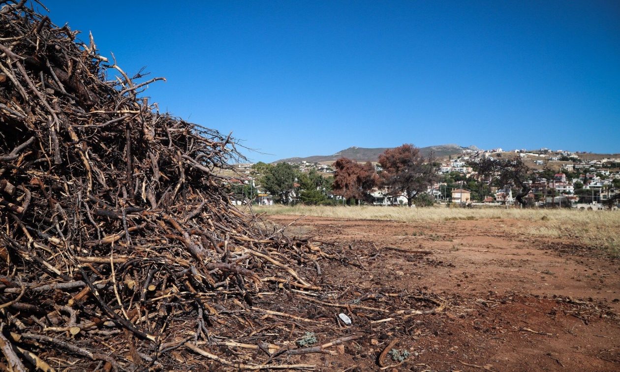 Έφτασαν τις 574.000 οι δηλώσεις καθαρισμού οικοπέδων – Εκπνέει σε δέκα ημέρες η προθεσμία