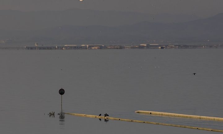 ΕΛΓΑ: Πληρώνει αύριο ζημιές στη φυτική παραγωγή – μελισσοτροφία για «Daniel» και «Elias»