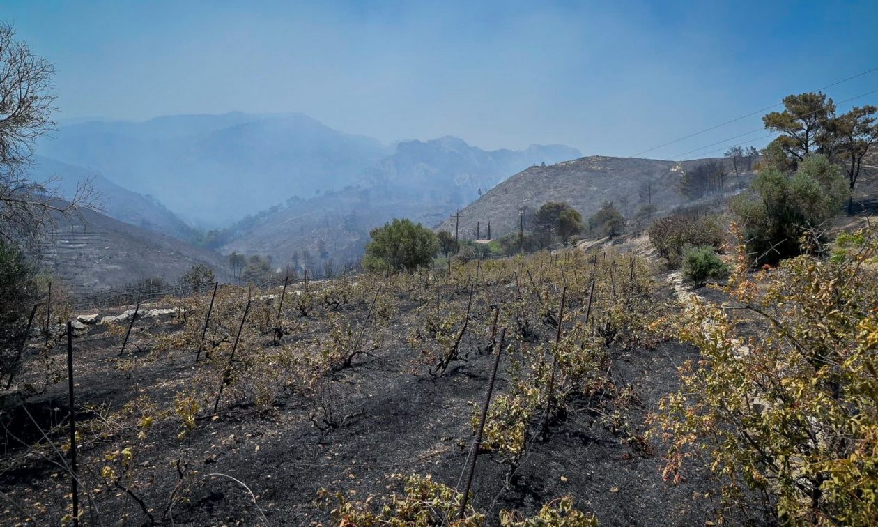 Αγροτικές αποζημιώσεις για τις πυρκαγιές του 2021 – Εκδόθηκε η ΚΥΑ για την τελική επιχορήγηση