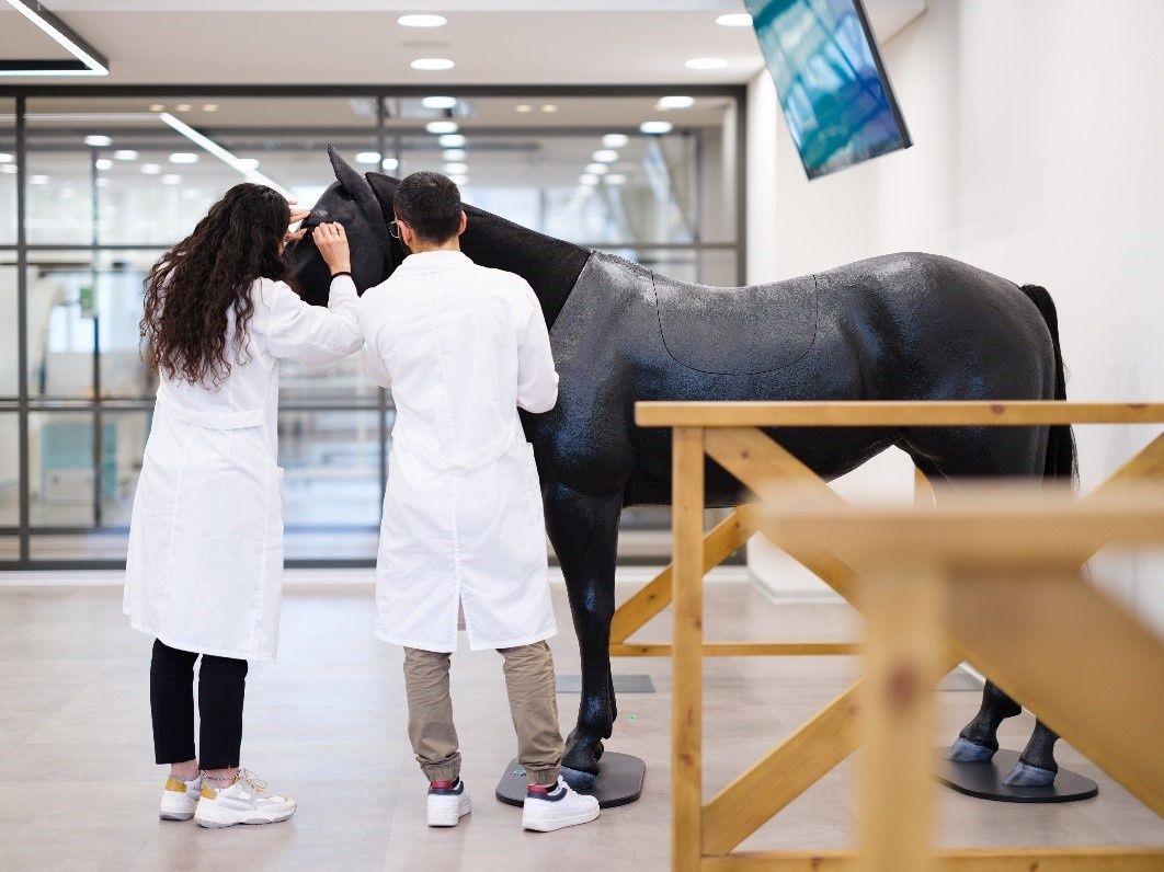 Καινοτόμες Προσεγγίσεις για την Υγεία των Ζώων: Σπουδές Κτηνιατρικής στην Κύπρο