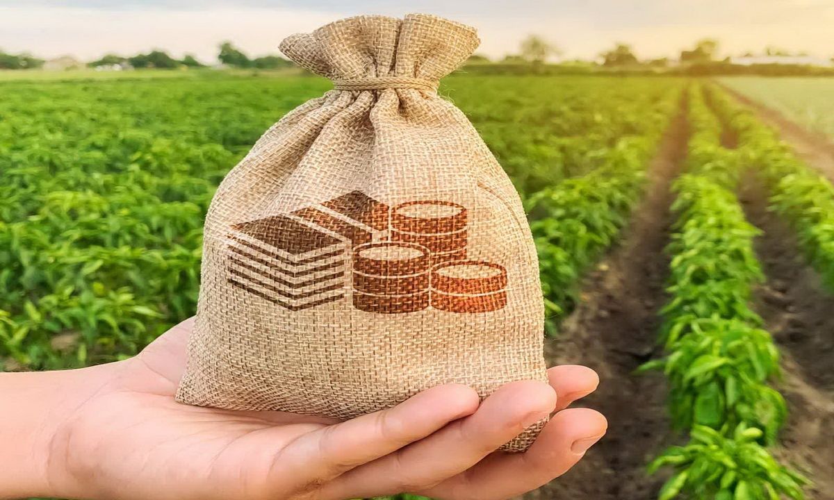 Εξισωτική αποζημίωση 2024: Στα 255 εκατ. ευρώ ο προϋπολογισμός – Ποιοι θα λάβουν ποινή