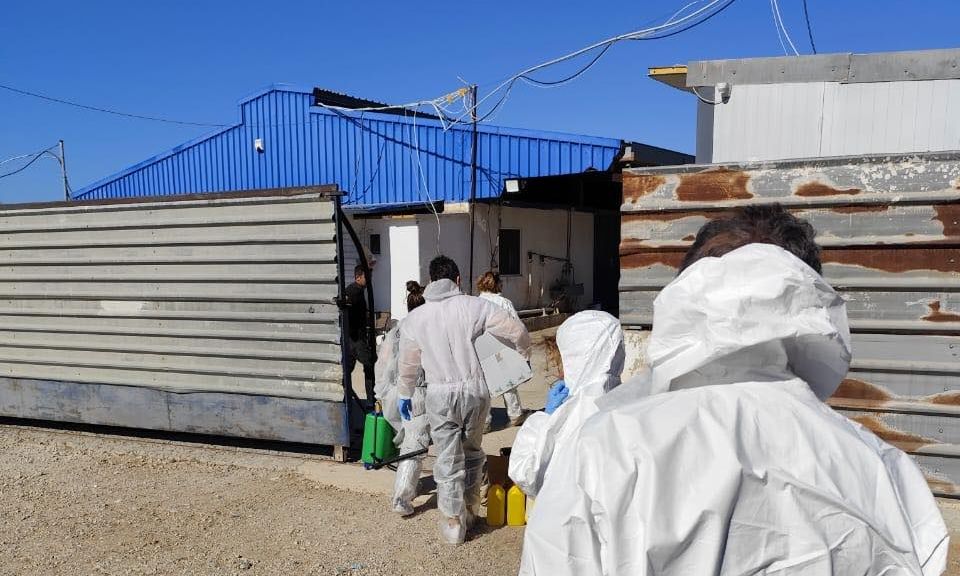 Χαρδαλιάς για την πανώλη των αιγοπροβάτων: Δεν επαναπαυόμαστε – Συνεχίζονται οι σχολαστικοί έλεγχοι