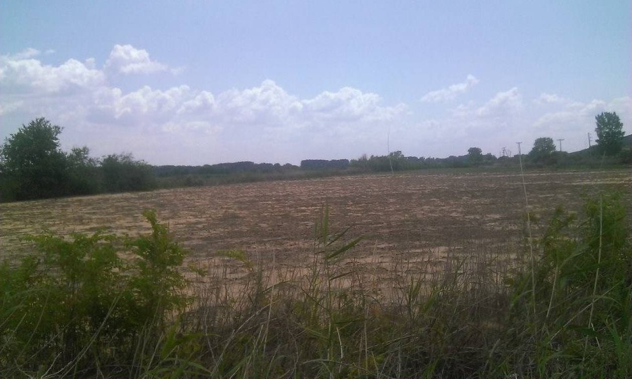 Άνοδος τιμών στα οικόπεδα – Σε ποιες περιοχές καταγράφονται οι μεγαλύτερες αυξήσεις με πίνακες