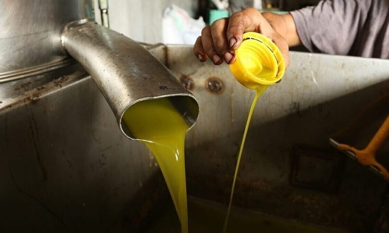 Σοκ με το ελαιόλαδο: Δεν θα υπάρχει τενεκές τη νέα χρονιά – Ανομβρία και καύσωνας έκαψαν τις ελιές