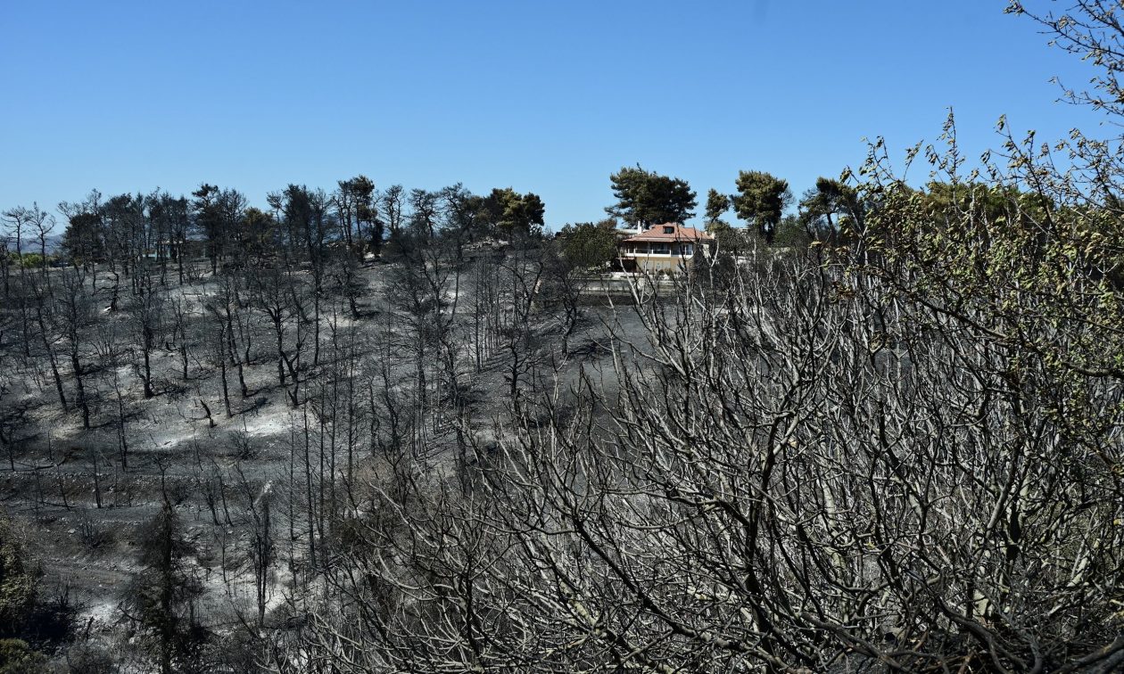 Πυρά Ρωμανού σε Δούκα: «Ας μαζέψει κανένα σκουπίδι και μετά να μας πει για την πολιτική προστασία»