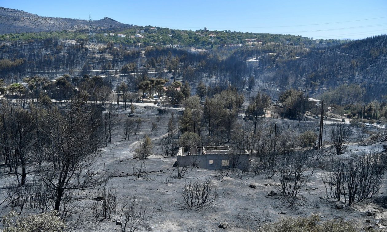 Πυρκαγιές στην Αττική: Ανοικτή η πλατφόρμα arogi.gov.gr της πρώτης αρωγής για τους πληγέντες