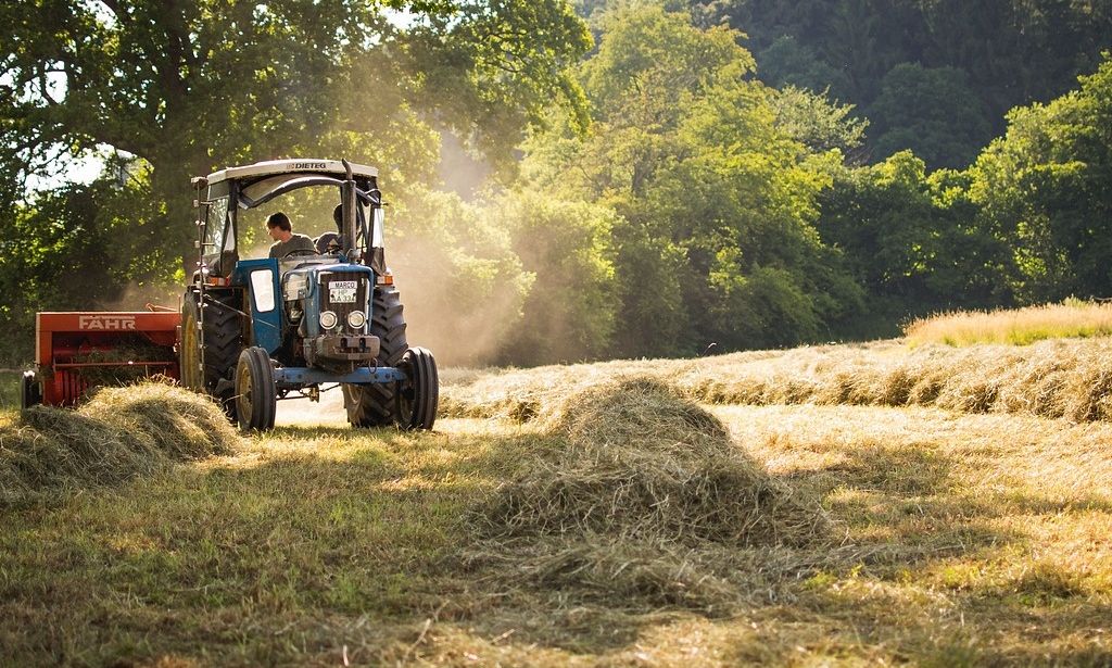 Γερμανία: Αγρότης λιποθύμησε από αναθυμιάσεις κοπριάς – Συγκρούστηκε με τοίχο του σπιτιού του