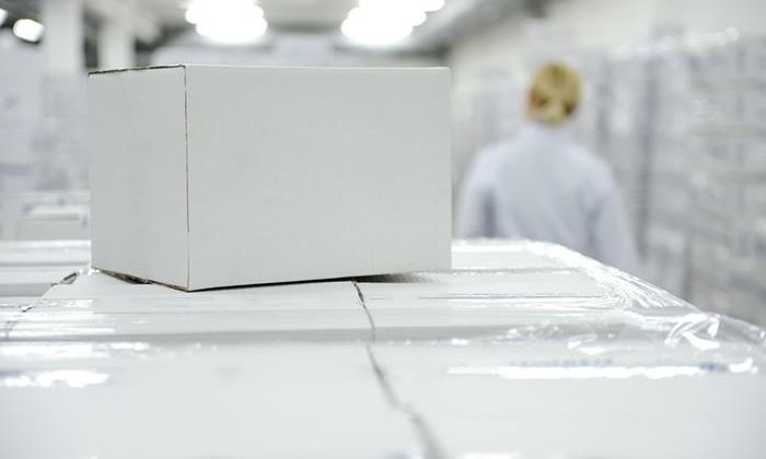 Συναγερμός στη Γερμανία: Οι αρχές προειδοποιούν για εμπρηστικούς μηχανισμούς σε πακέτα