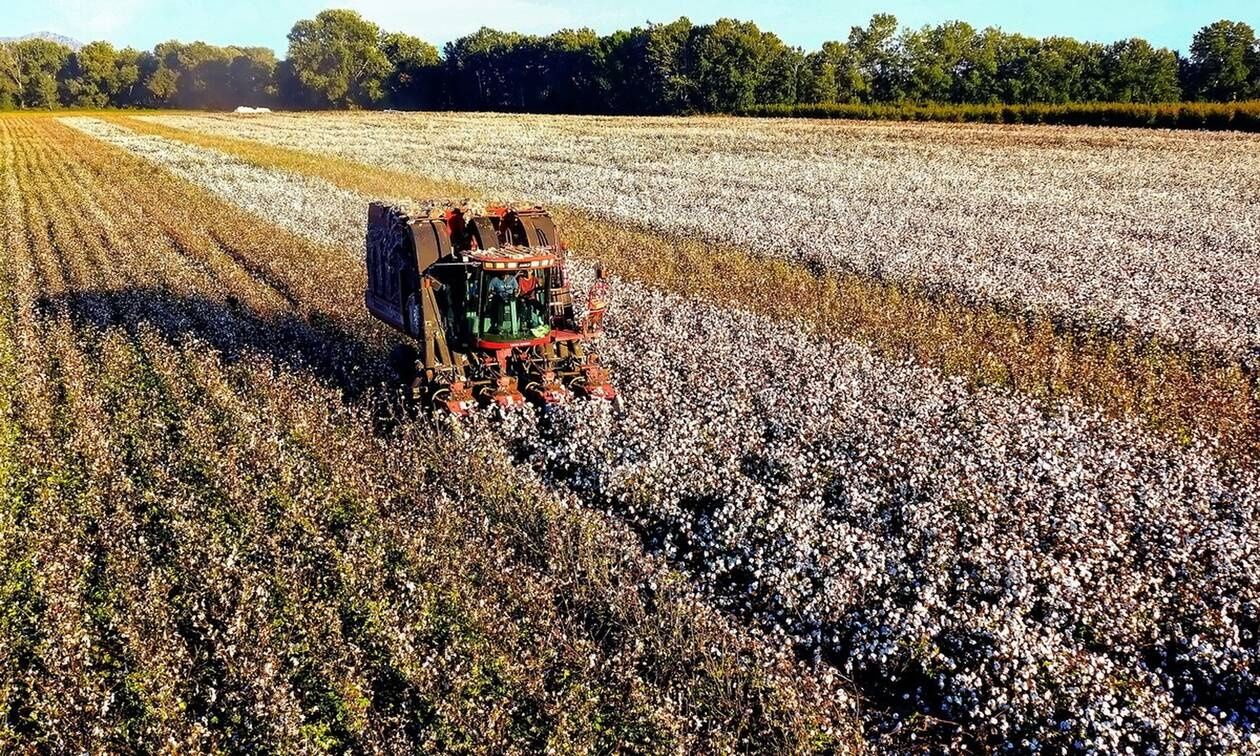 Σε ΦΕΚ το θεσμικό πλαίσιο για τη μετατροπή των βιολογικών καλλιεργειών ή εκτροφών