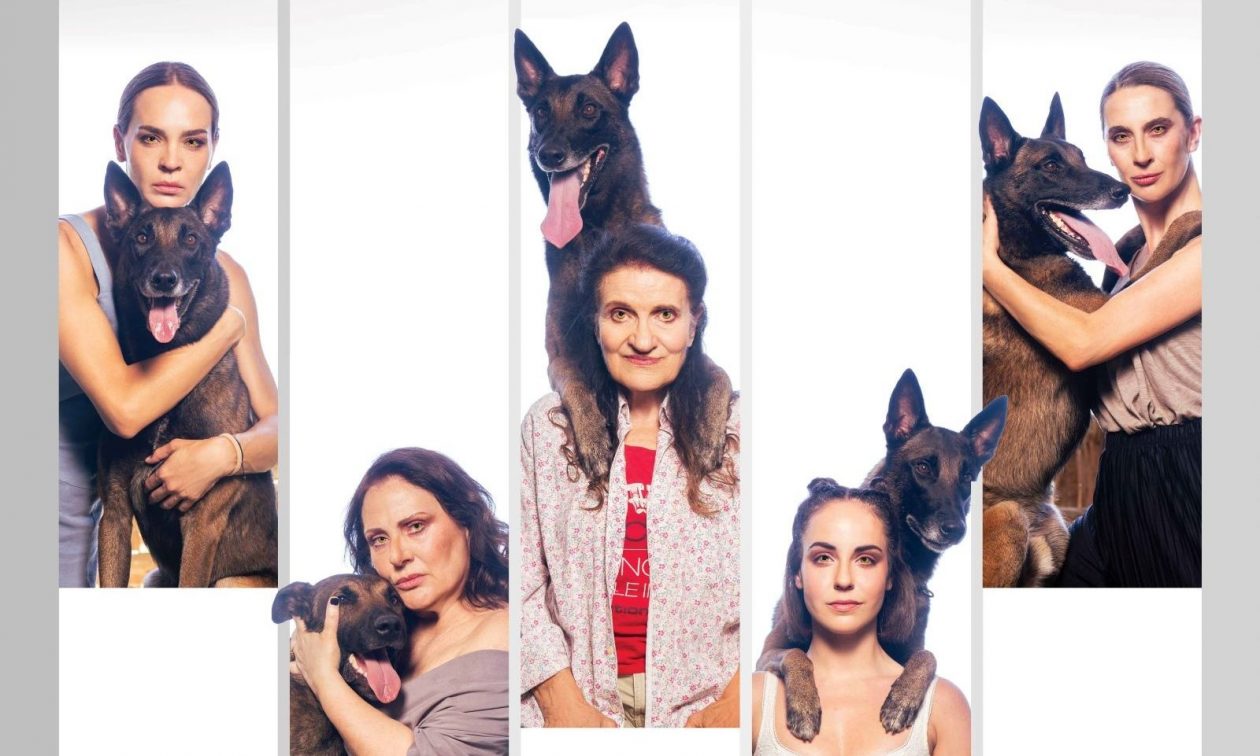 Θέατρο Εμπορικόν: «Λύκαινες» μέσα σε ένα διαμέρισμα