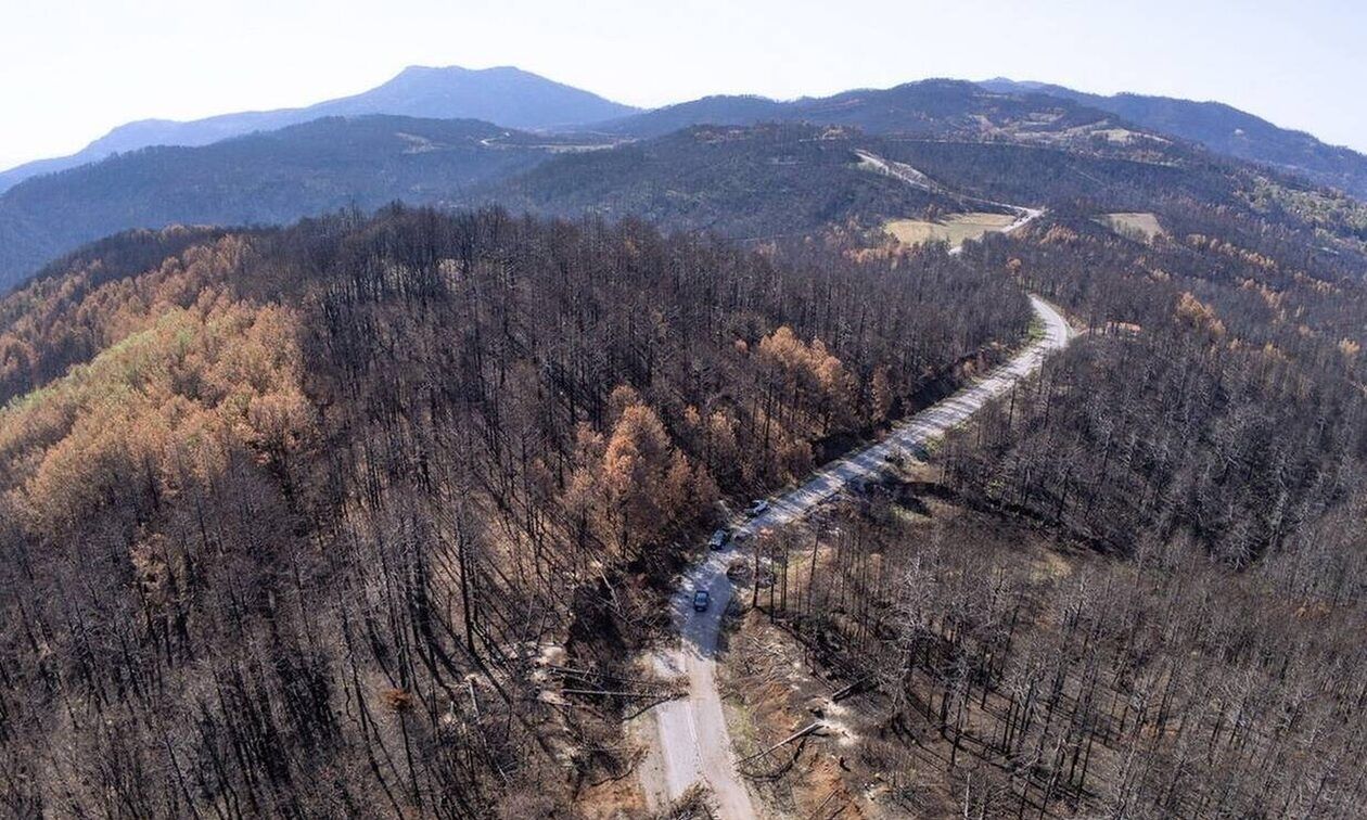ΕΝΦΙΑ: Ποιοι θα πάρουν απαλλαγή για το 2024