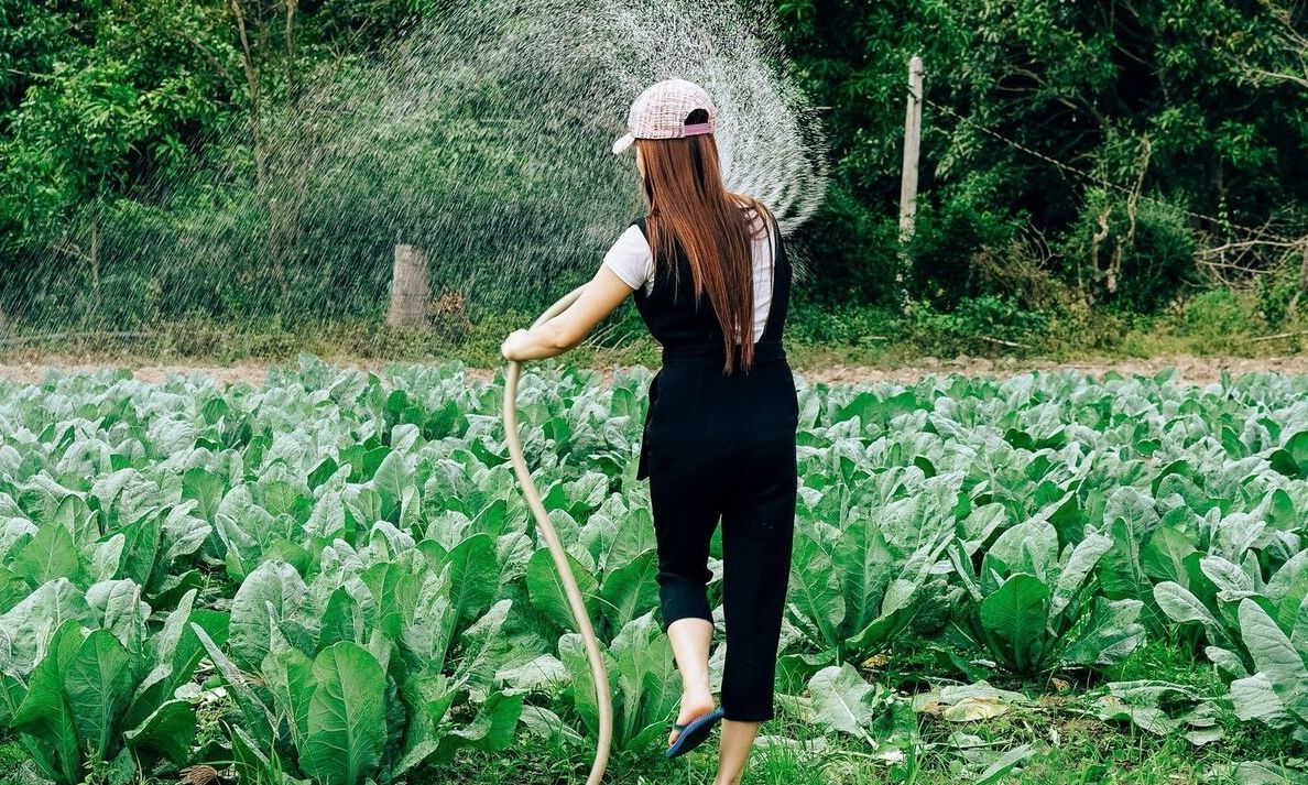 Πολύτεκνες και τρίτεκνες αγρότισσες μητέρες: Καταβάλλεται σήμερα το επίδομα 700 ευρώ και 1.000 ευρώ