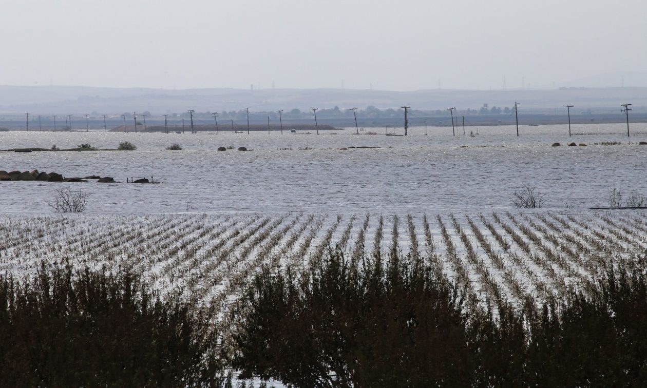 Σήμερα οι αποζημιώσεις στους παραγωγούς για τις καταστροφές που προκάλεσαν «Daniel» και «Elias»