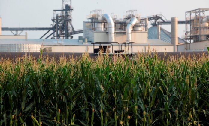 1586990-ee500c46-corn-ethanol.jpg