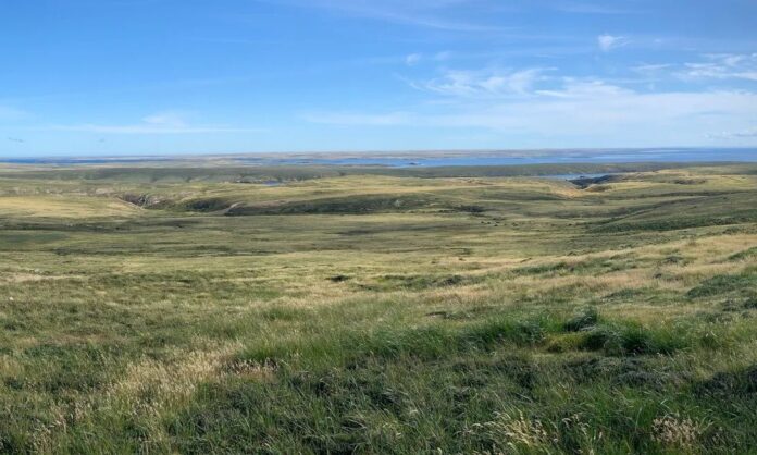 1587454-aa786362-falkland-islands.jpg