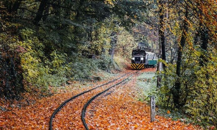 1588938-travel-train.jpg