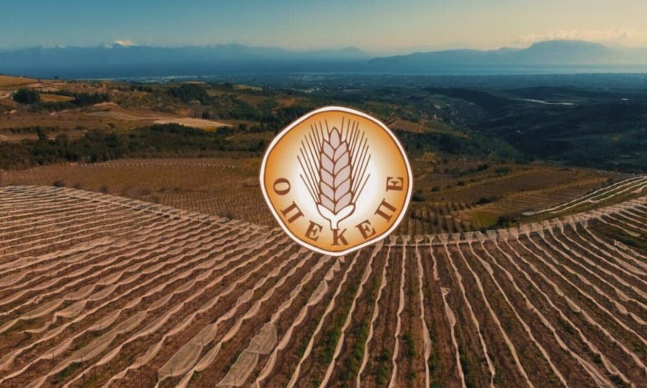 ΟΠΕΚΕΠΕ: Ολοκληρώθηκε η υποβολή των αιτήσεων της ΕΑΕ 2024 (Δηλώσεις ΟΣΔΕ 2024)