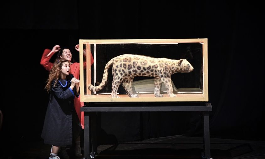 «Το καπλάνι της βιτρίνας»: Έξτρα παράσταση λόγω μεγάλης ανταπόκρισης