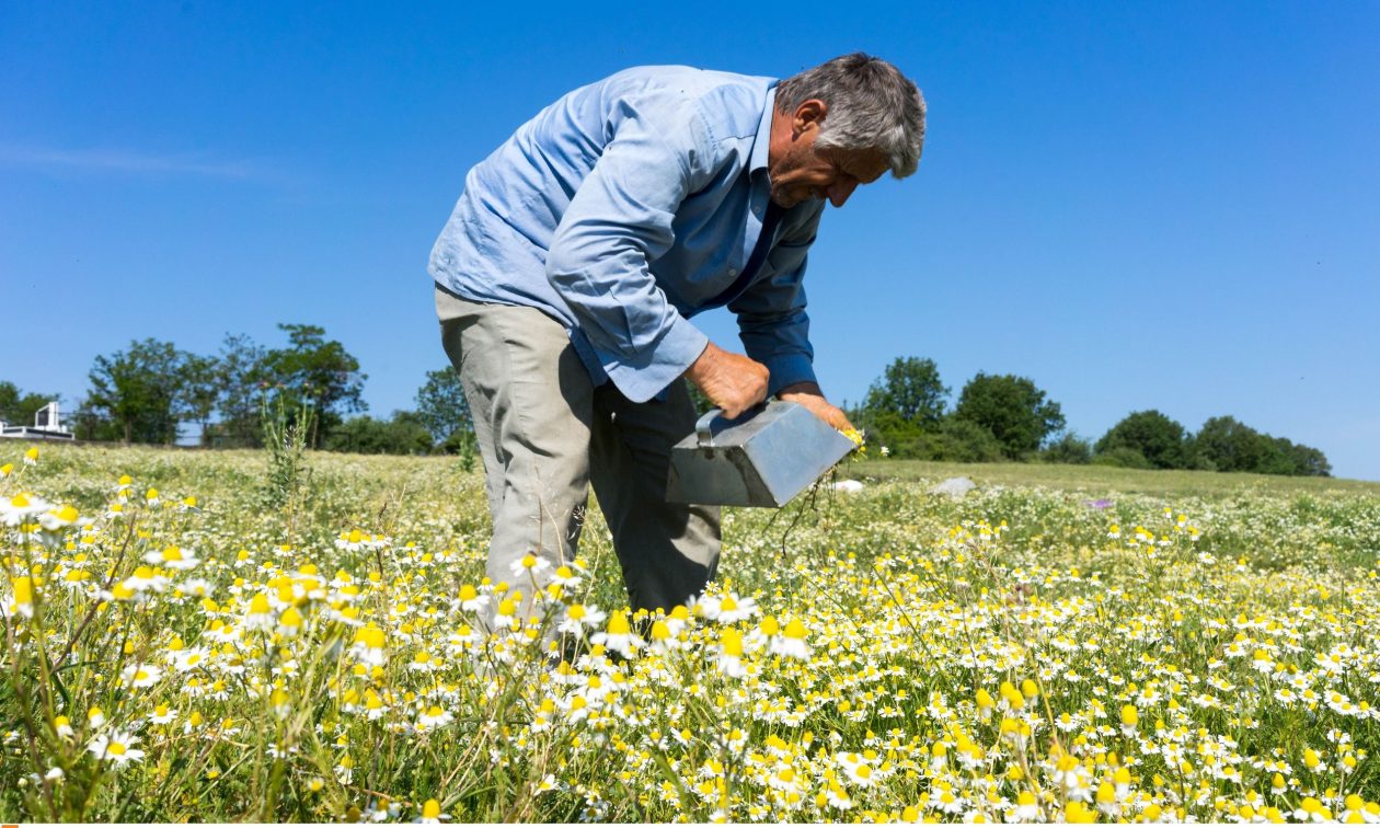 ΟΠΕΚΕΠΕ: Ξεκίνησαν οι πληρωμές της εκκαθάρισης του 2023
