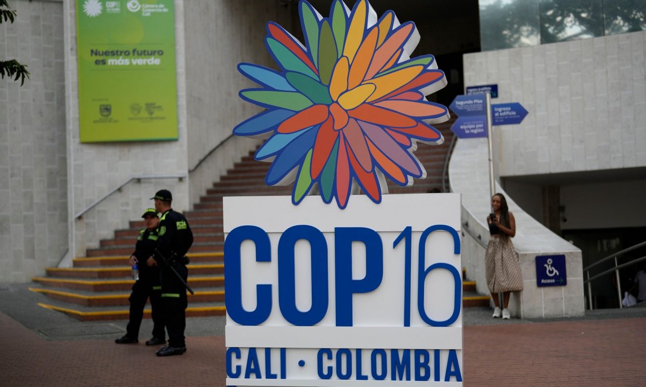 COP16: Η μεγαλύτερη Σύνοδος για την προστασία της Φύσης – Οι ηγέτες θα «λογοδοτήσουν»