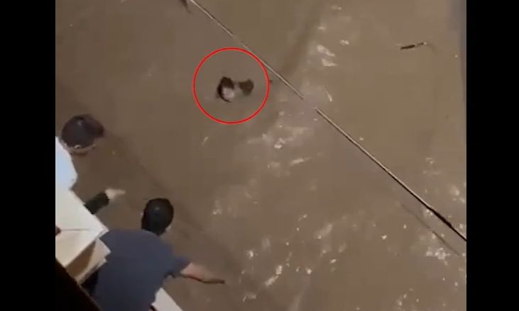 Ισπανία: Τρομακτικό βίντεο δείχνει γυναίκα να παρασύρεται από τις πλημμύρες στη Βαλένθια