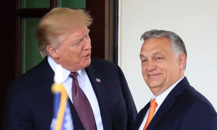 1597951-c03cfc9b-trump-orban.jpg