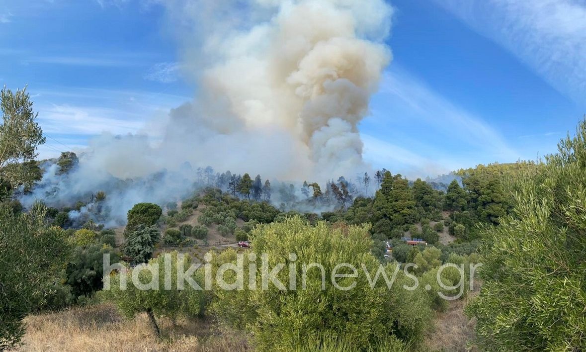 Χαλκιδική: Μεγάλη πυρκαγιά στη Σιθωνία – Εντολή εκκένωσης από το 112, καίει κοντά σε σπίτια