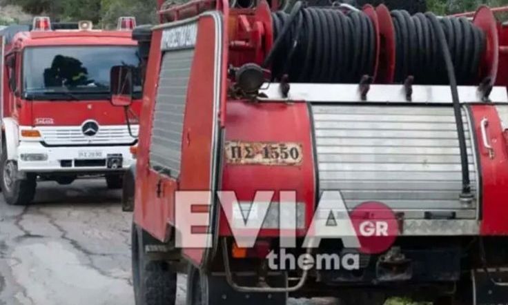 Τραγωδία στην Εύβοια: Ανατροπή πυροσβεστικού με ένα νεκρό και ένα τραυματία