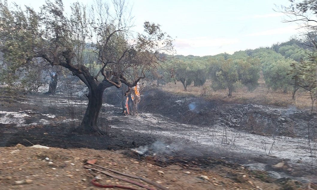 Χαλκιδική: Συνελήφθη 51χρονος για τη φωτιά στον Νέο Μαρμαρά – Θα καταβάλλει πρόστιμο 5.000 ευρώ