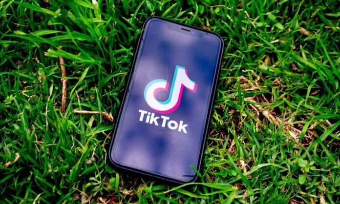 1598867-1718077812765-935232386-tiktok.jpg