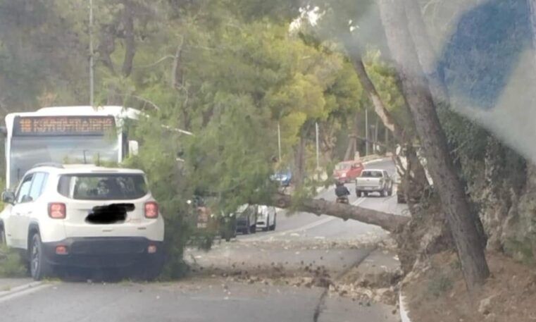 Χανιά: Κυκλοφοριακό χάος μετά από παράσυρση δέντρου από φορτηγό