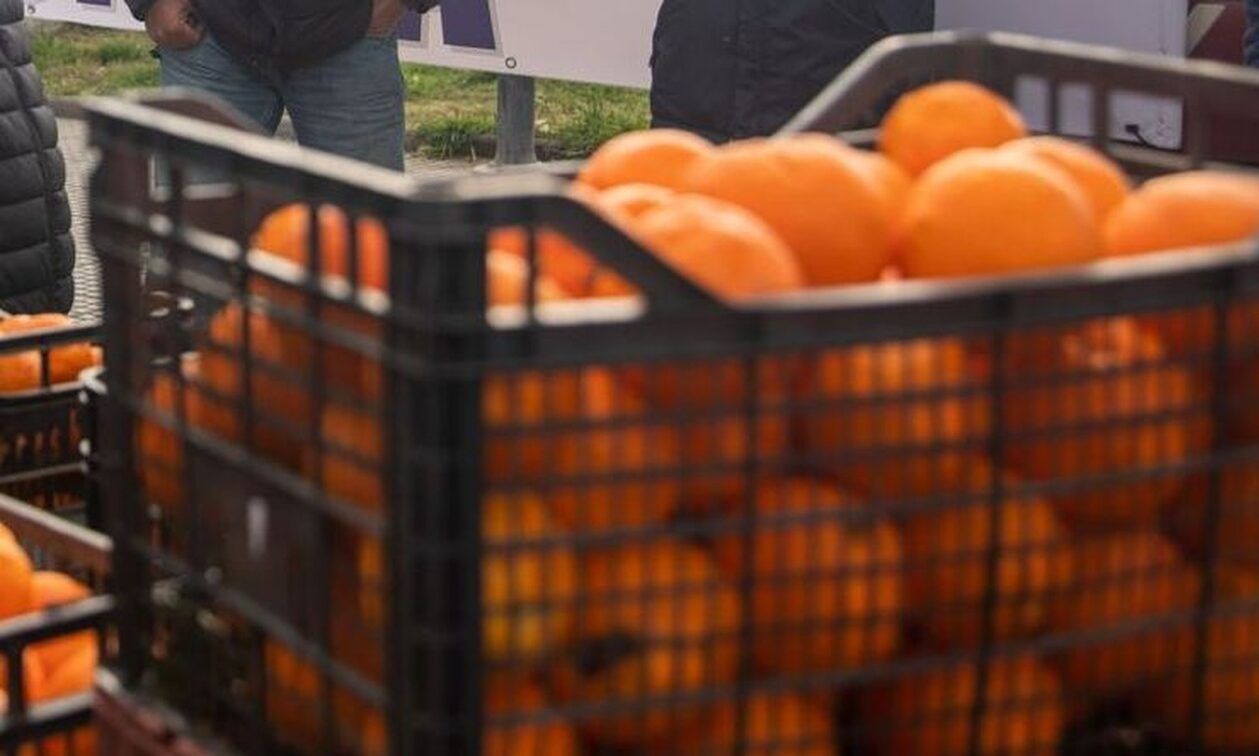Νέας μορφής λειτουργία για το «The Orange Factory»
