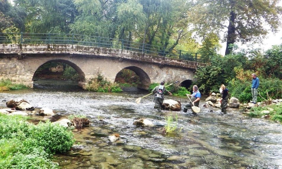 Γκαβόχελο: Το σπάνιο ψάρι που μοιάζει με σκουλήκι – Ζει στην Ελλάδα εδώ και 360 εκατ. χρόνια