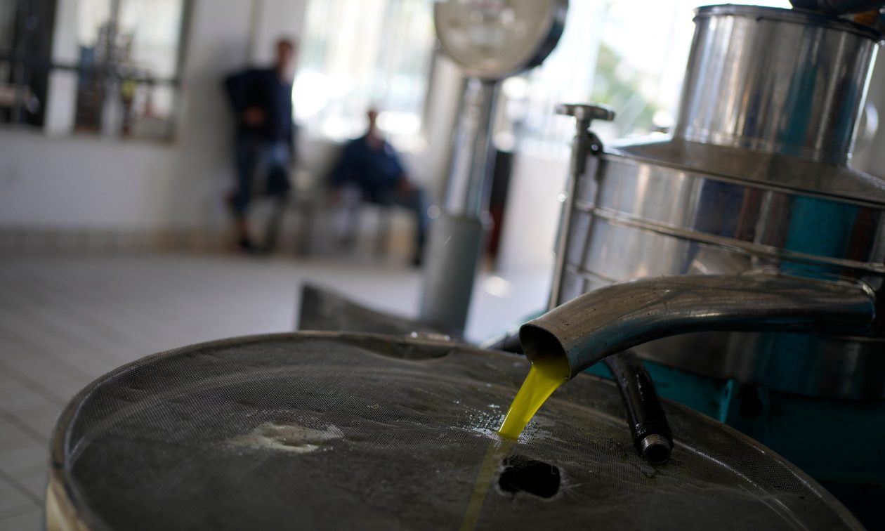 Ελαιόλαδο: Η τάση στην τιμή – Πόσο πωλείται στη Γερμανία