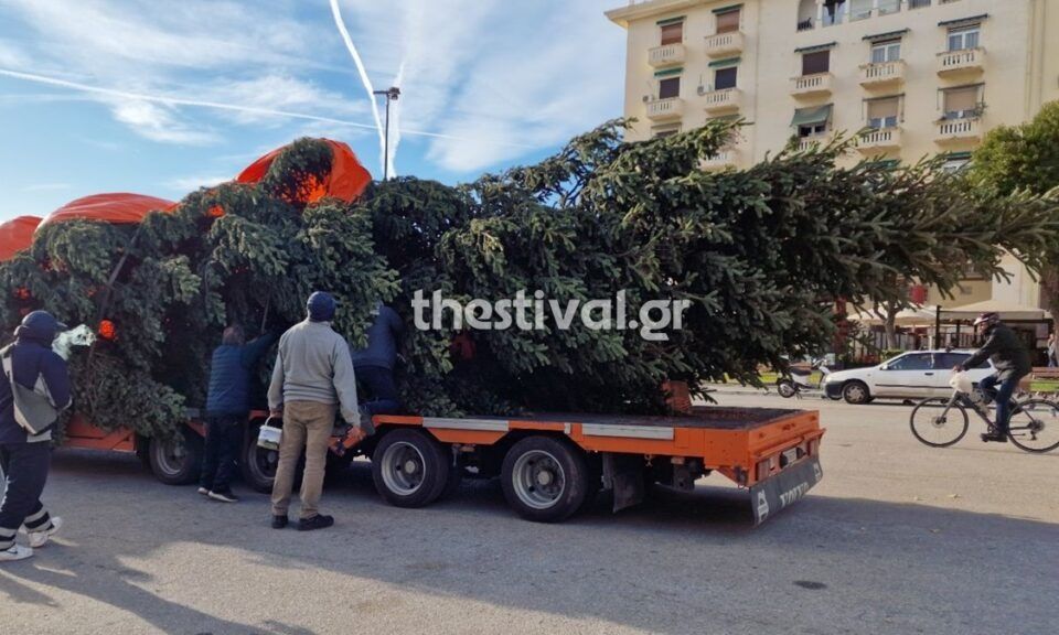 Θεσσαλονίκη: Έφτασε το χριστουγεννιάτικο δένδρο από τη Χαλκιδική – 20 μέτρα ύψος